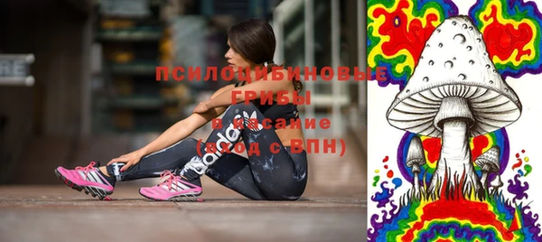 PSILOCYBIN Верея