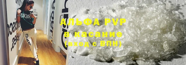 PSILOCYBIN Верея