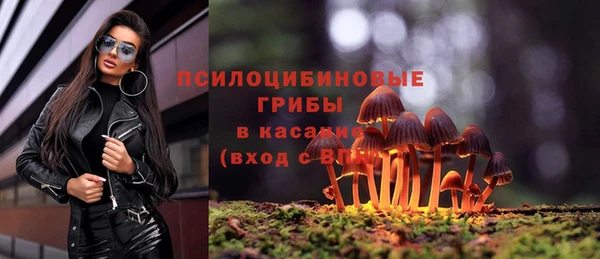 прущая мука Бронницы